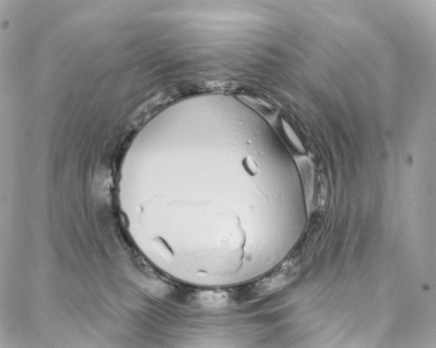 X0000088020279200706011332