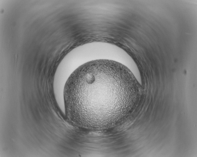 X0000088020280200706011332