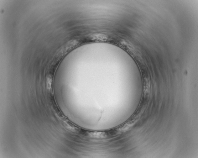 X0000088020281200706011332