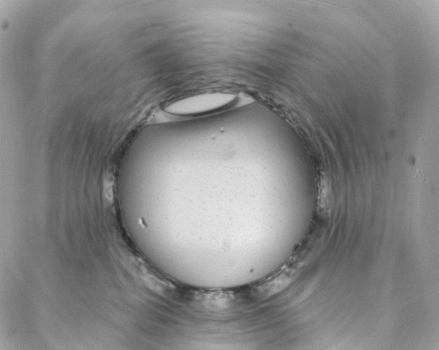 X0000088020282200706011332