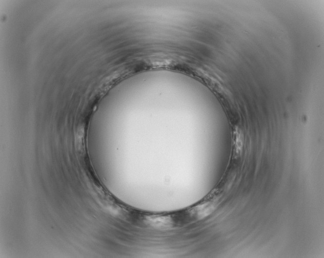 X0000088020283200706011332