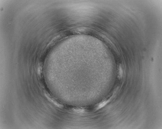 X0000088020284200706011332