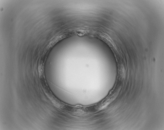 X0000088020285200706011332