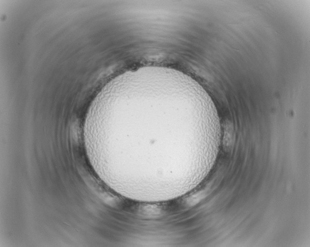 X0000088020287200706011332