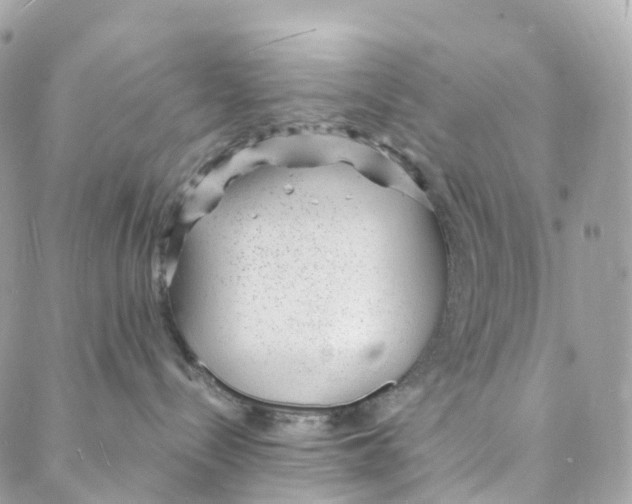 X0000088020288200706011332