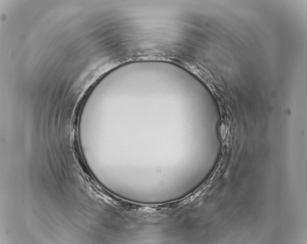 X0000088020290200706011331