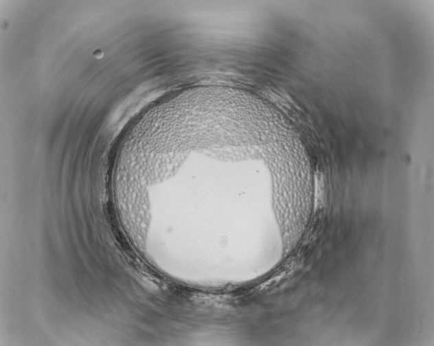 X0000088020291200706011331