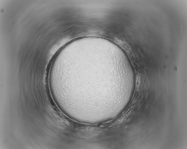 X0000088020292200706011331