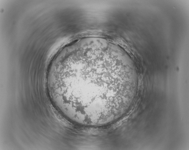 X0000088020293200706011331