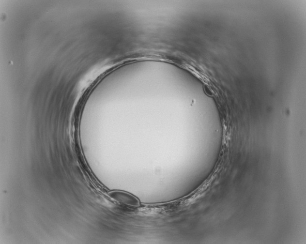 X0000088020294200706011331