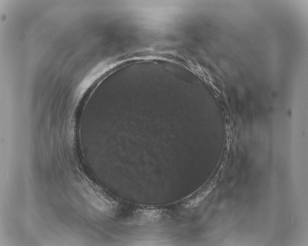 X0000088020295200706011331