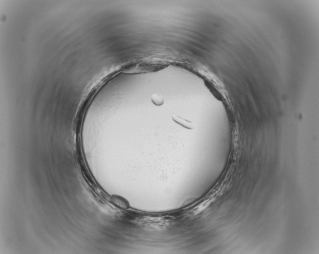 X0000088020298200706011331