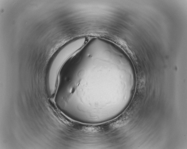 X0000088020299200706011331