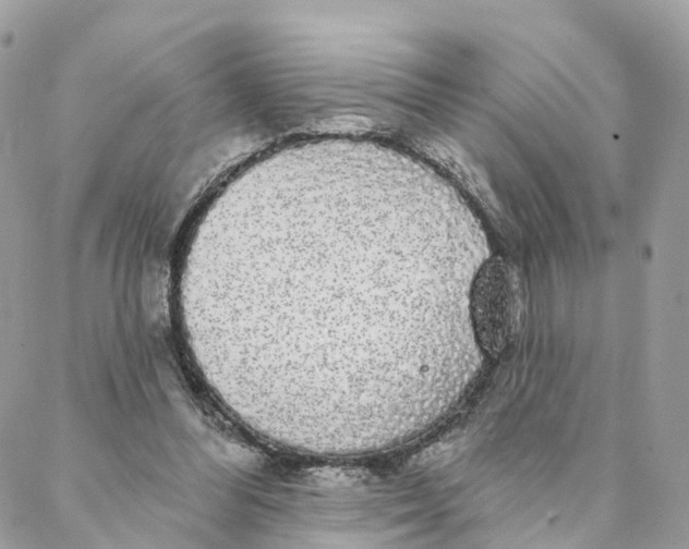 X0000088020300200706011331