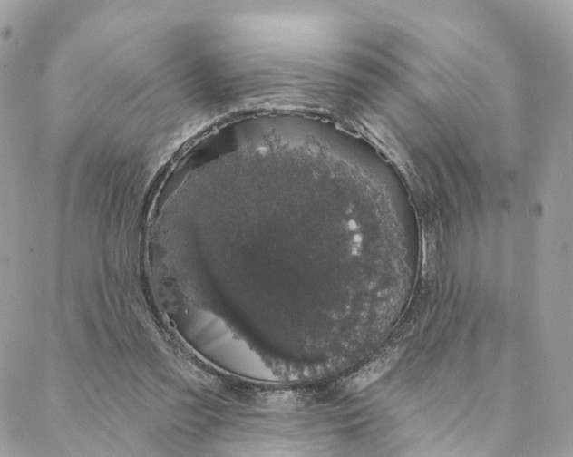 X0000088020301200706011331