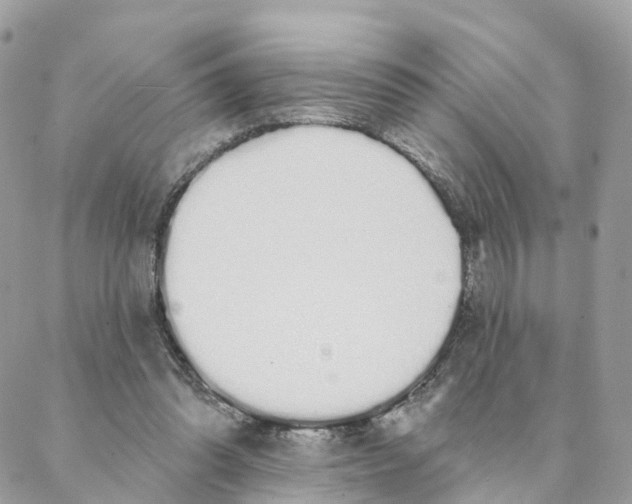 X0000088020302200706011331