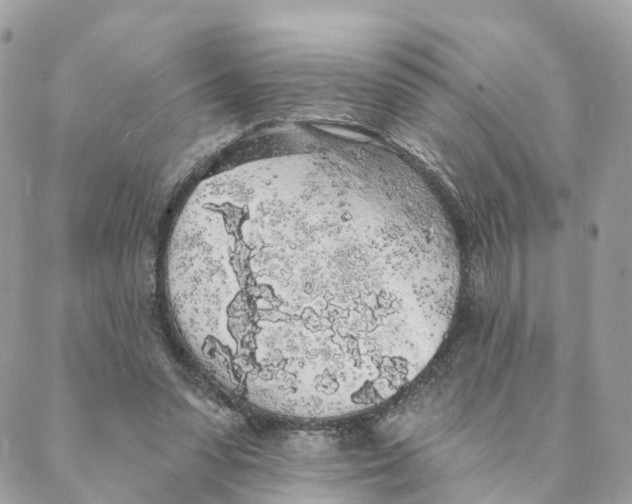 X0000088020303200706011331