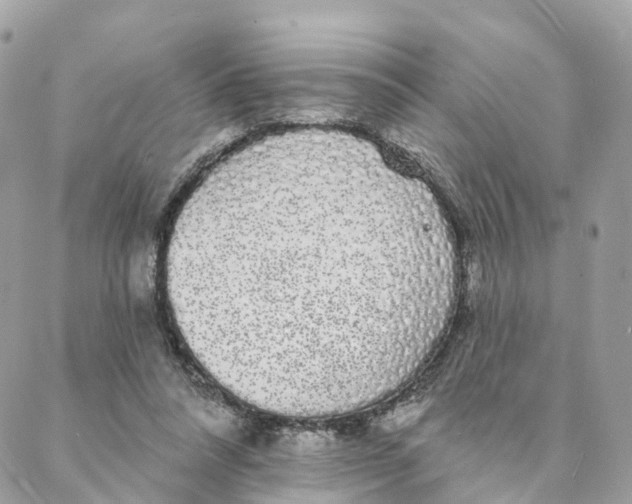 X0000088020304200706011331