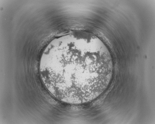 X0000088020305200706011331