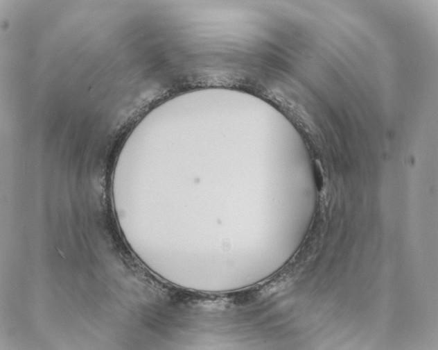 X0000088020306200706011331