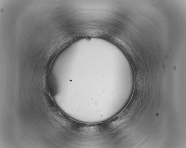 X0000088020307200706011331