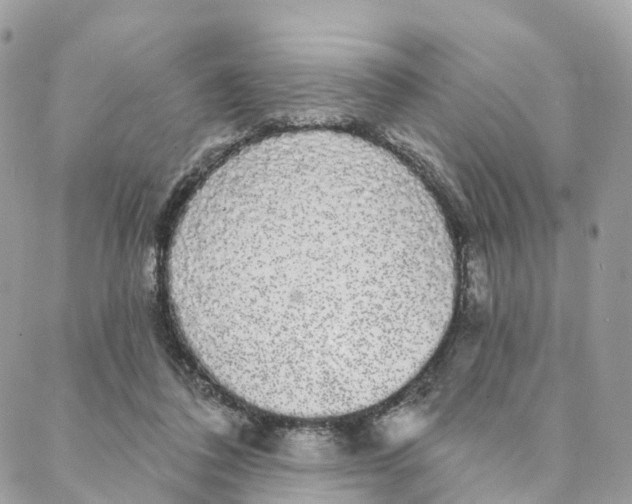 X0000088020308200706011331