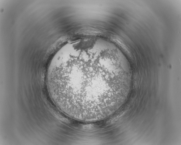 X0000088020309200706011331