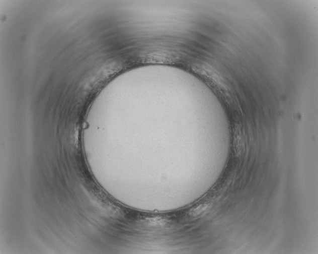 X0000088020310200706011331