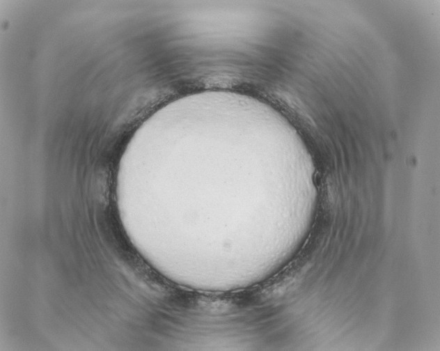 X0000088020311200706011331