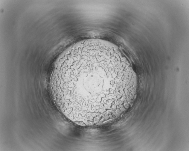 X0000088020313200706011331