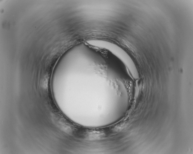 X0000088020315200706011331