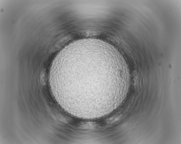 X0000088020316200706011331