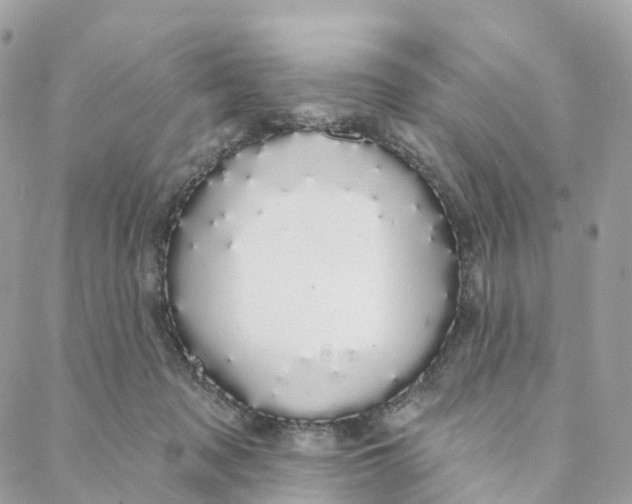 X0000088020317200706011331