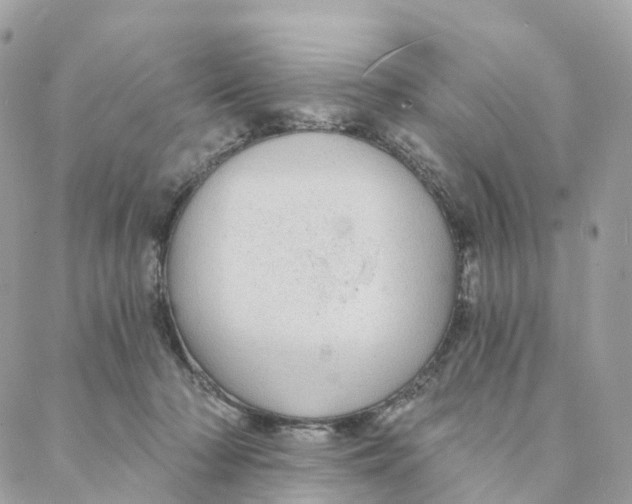 X0000088020318200706011331