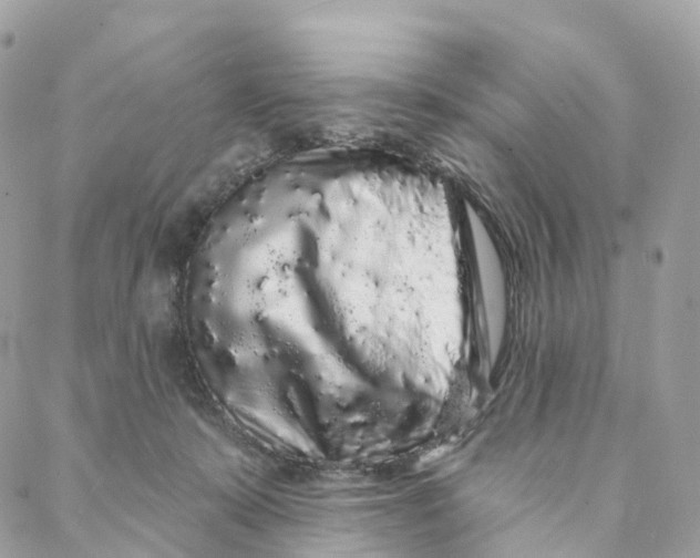 X0000088020319200706011331