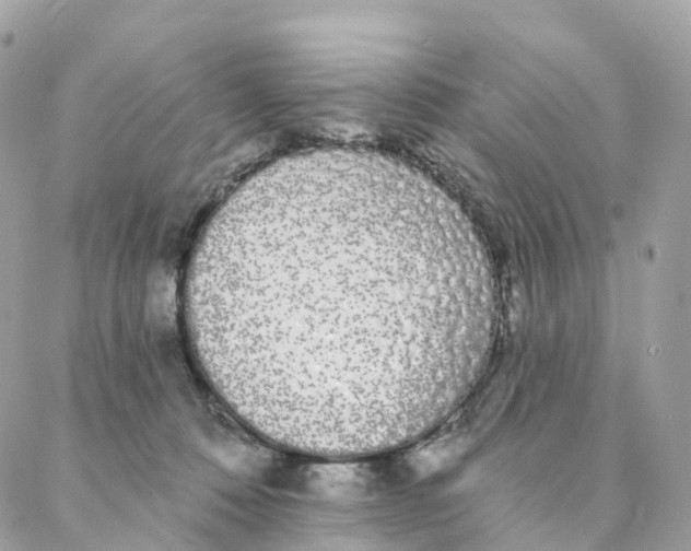 X0000088020320200706011331