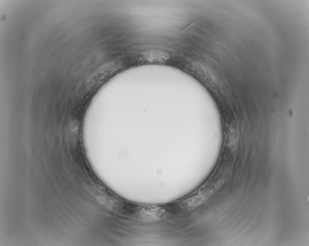 X0000088020321200706011331