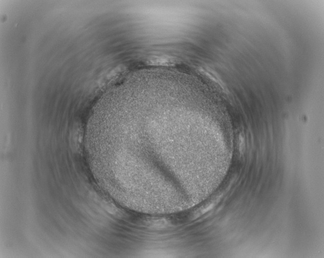 X0000088020322200706011331