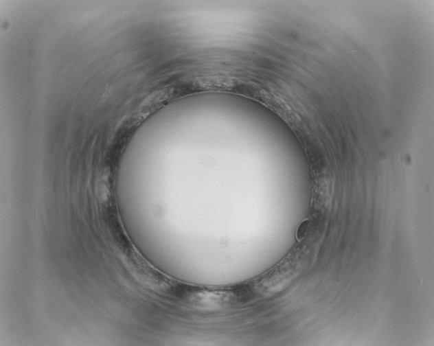 X0000088020323200706011331