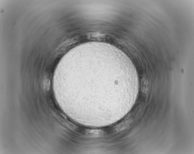 X0000088020324200706011331