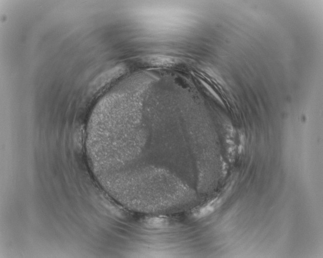 X0000088020325200706011331