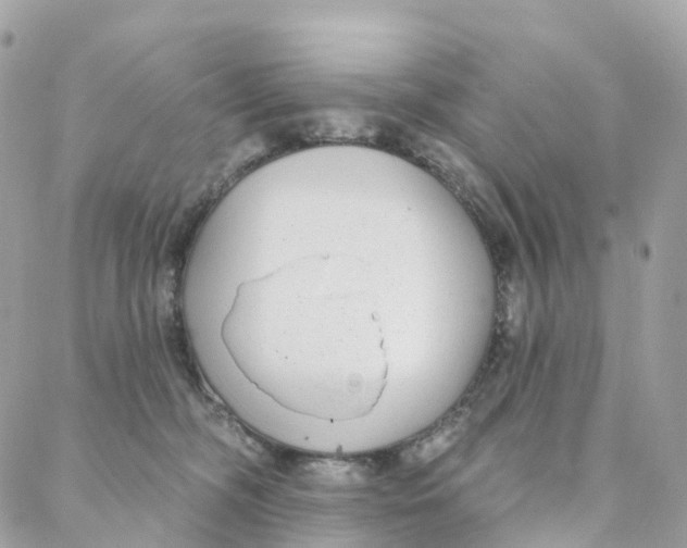 X0000088020326200706011330