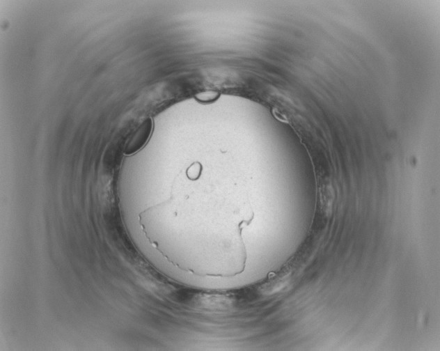 X0000088020327200706011330