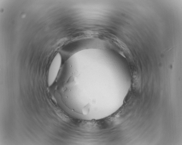 X0000088020329200706011330