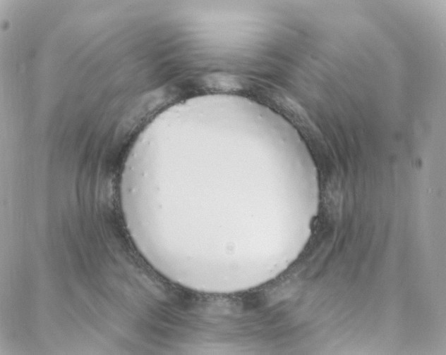 X0000088020330200706011330