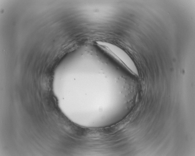 X0000088020331200706011330