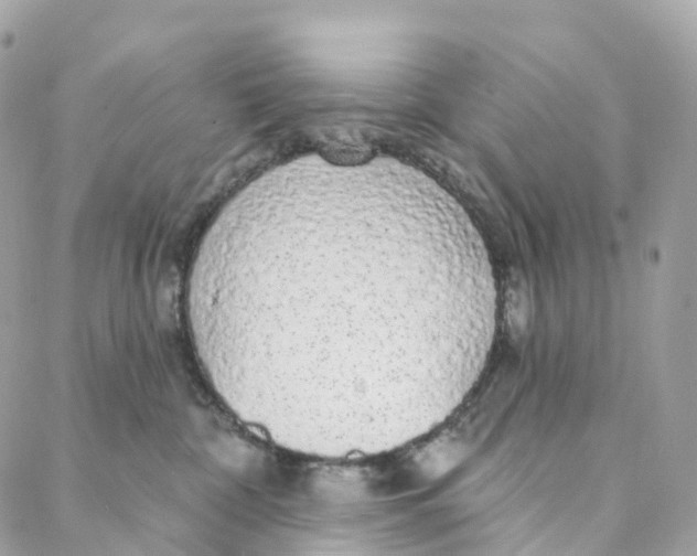 X0000088020332200706011330