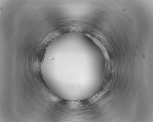 X0000088020333200706011330