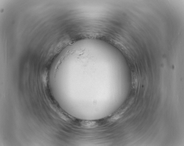 X0000088020334200706011330