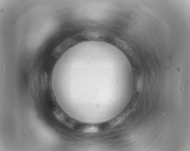 X0000088020335200706011330